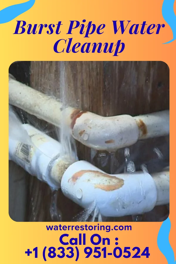 Burst Pipe Water Cleanup in Shumway, IL