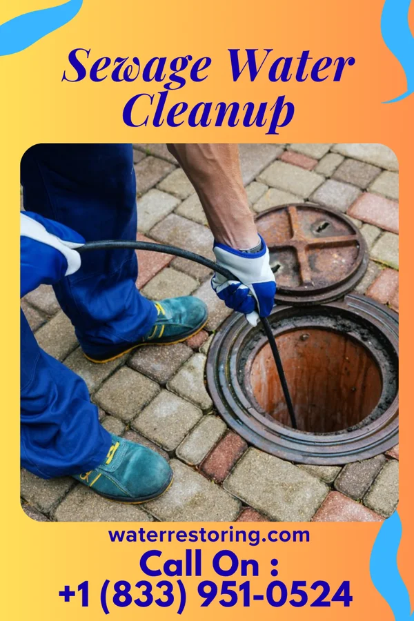 Sewage Water Cleanup in Shumway, IL